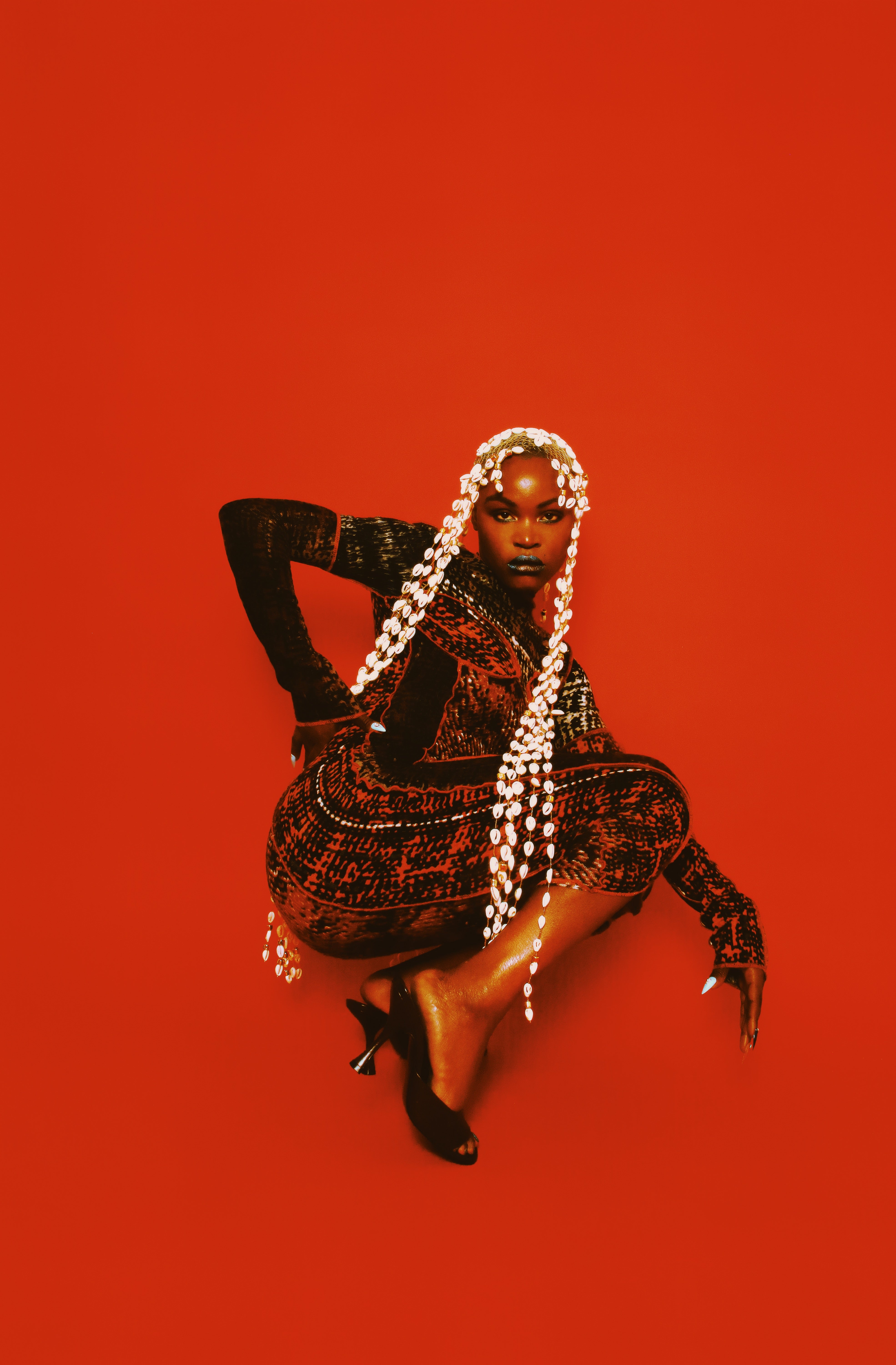 Get Familiar: Pongo – Patta US