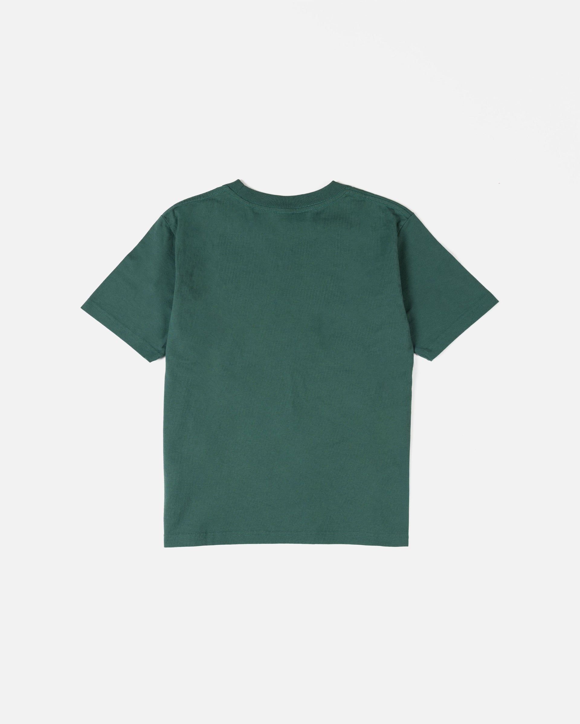 Patta Script Logo Kids T-Shirt (Bistro Green)